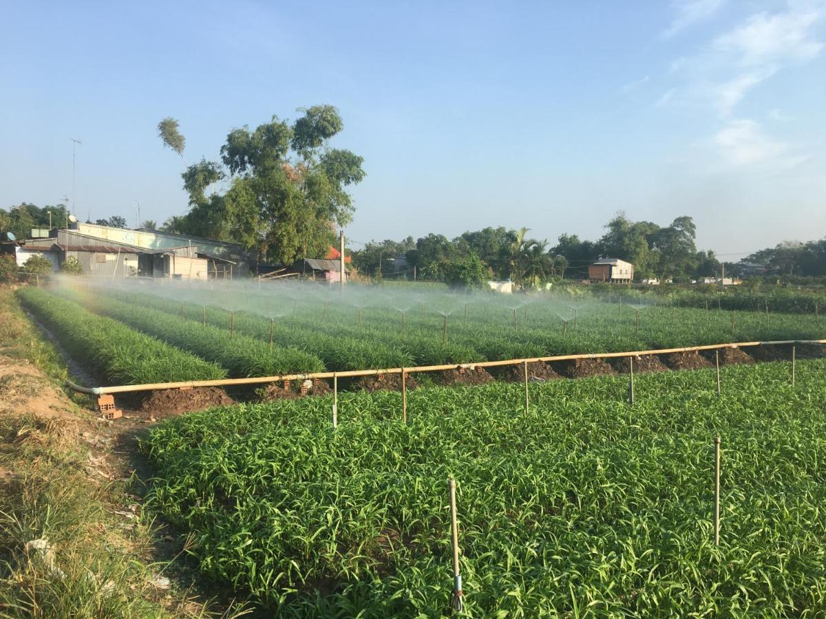 Chau Doc Homestay Экстерьер фото